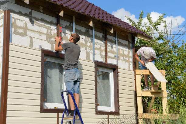 Shed Removal